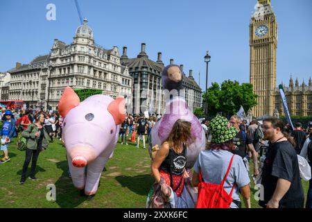 Les manifestants organisent un rassemblement après la marche nationale pour les droits des animaux. Parliament Square, Londres, Royaume-Uni. 17 août 2024 Banque D'Images