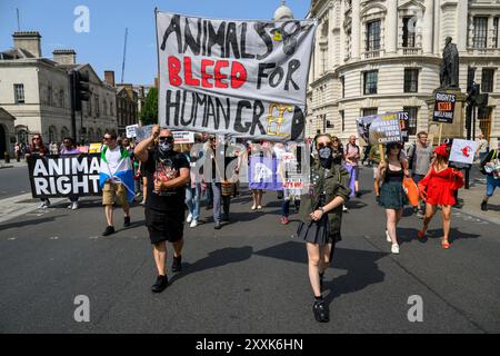 Manifestants participant à la marche nationale pour les droits des animaux. Whitehall, Londres, Royaume-Uni. 17 août 2024 Banque D'Images