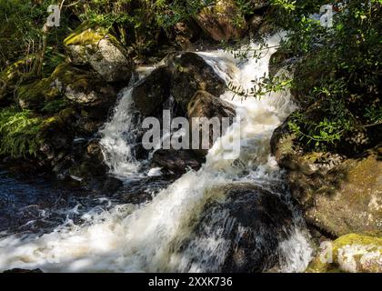 Rowantreethwaite Beck in Spate ( août 2024,) Haweswater, Westmorland & Furness, Cumbria, Royaume-Uni Banque D'Images