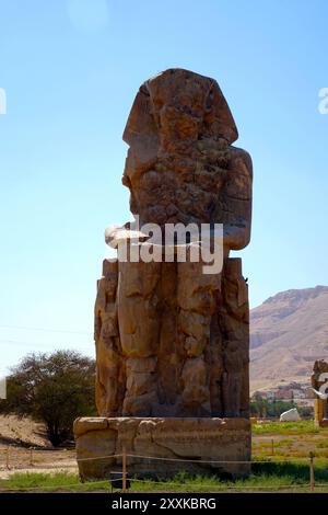 Les colosses de Memnon se tiennent fièrement dans l'ouest de l'Égypte, mettant en valeur la grandeur du pharaon Amenhotep III. ces statues antiques reflètent un riche histo Banque D'Images
