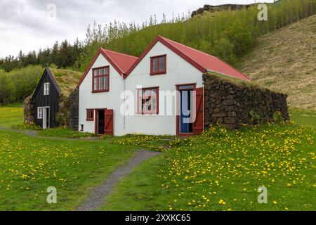 Village traditionnel de maisons de gazon dans Skogar Musée en plein air, façade en bois bâtiments résidentiels islandais avec des toits recouverts de gazon et de mousse, Islande Banque D'Images