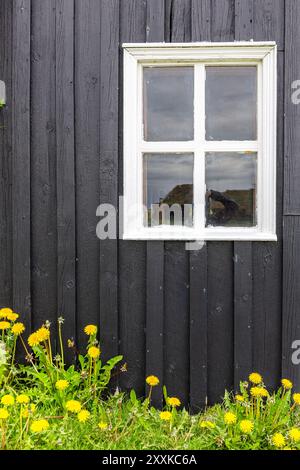 Façade en bois noir d'un bâtiment résidentiel avec cadre de fenêtre blanc et fleurs jaunes ci-dessous, maison traditionnelle islandaise en gazon à Skogar, Islande. Banque D'Images