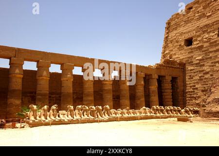 Les visiteurs peuvent admirer les colonnes impressionnantes et la rangée de statues antiques au complexe du temple de Karnak en Égypte, présentant une remarquable architecture g Banque D'Images