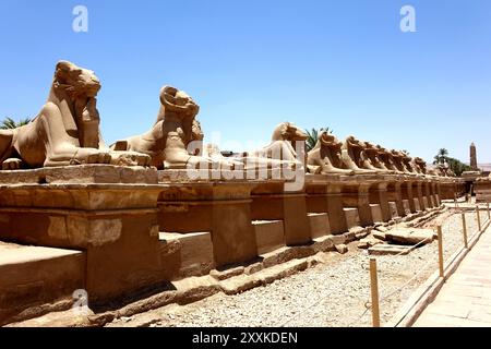 L'avenue des sphinx au temple de Karnak présente de nombreuses statues majestueuses de sphinx, mettant en valeur l'art et la culture égyptiennes anciennes le long du chemin vers Banque D'Images