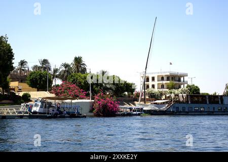 Les touristes traversent le Nil à Louxor, en Égypte, avec des fleurs colorées et des bateaux le long de la rive. Le soleil éclatant améliore la dynamique SC Banque D'Images