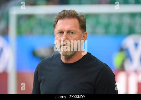 Wolfsburg, Allemagne. . 25 août 2024. Wolfsburg, Allemagne. 25 août 2024. Ralph HASENHUETTL (coach VFL Wolfsburg), image unique, motif unique recadré, portrait, portrait, portrait. Football 1st Bundesliga saison 2024/2025, 1st match day, matchday01 VFL Wolfsburg - FC Bayern Munich le 25 août 2024, VOLKSWAGEN ARENA ? Crédit : dpa/Alamy Live News crédit : dpa Picture alliance/Alamy Live News Banque D'Images