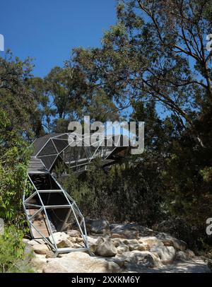 Promenade dans le Bush Canopy Walk au Rio Tinto Naturescape Kings Park, jardin botanique, Perth, Australie occidentale Banque D'Images