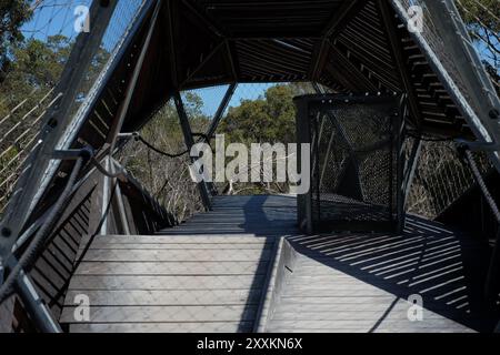 Promenade dans le Bush Canopy Walk au Rio Tinto Naturescape Kings Park, jardin botanique, Perth, Australie occidentale Banque D'Images