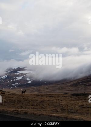 Un cheval solitaire se dresse sur un paysage vaste et ouvert, avec des montagnes brumeuses en arrière-plan, incarnant la solitude, la liberté et la beauté intacte de la Banque D'Images