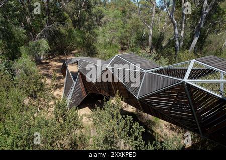 Promenade dans le Bush Canopy Walk au Rio Tinto Naturescape Kings Park, jardin botanique, Perth, Australie occidentale Banque D'Images