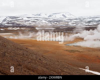 Un vaste champ géothermique avec de la vapeur s'élevant de multiples évents et des montagnes enneigées lointaines, capturant l'immensité et les éléments contrastés de th Banque D'Images