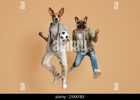 Deux chiens portant des vêtements décontractés Jump in the Air Banque D'Images