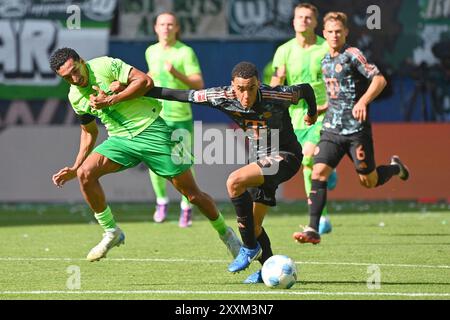 Wolfsburg, Allemagne. . 25 août 2024. Wolfsburg, Allemagne. 25 août 2024. Jamal MUSIALA (FC Bayern Munich), action, duels contre Tiago TOMAS (VFL Wolfsburg). Soccer 1ère saison Bundesliga 2024/2025, 1ère journée, matchday01 VFL Wolfsburg - FC Bayern Munich le 25 août 2024, VOLKSWAGEN ARENA? Crédit : dpa/Alamy Live News crédit : dpa Picture alliance/Alamy Live News Banque D'Images