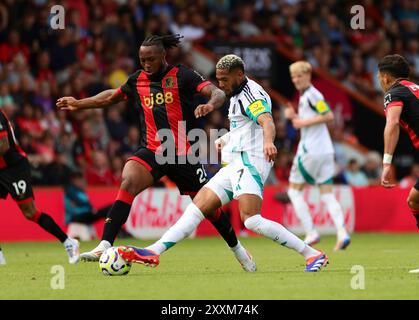 Vitality Stadium, Boscombe, Dorset, Royaume-Uni. 25 août 2024. Premier League Football, AFC Bournemouth contre Newcastle United ; Senmenyo de Bournemouth concourt avec Joelinton Credit : action plus Sports/Alamy Live News Banque D'Images