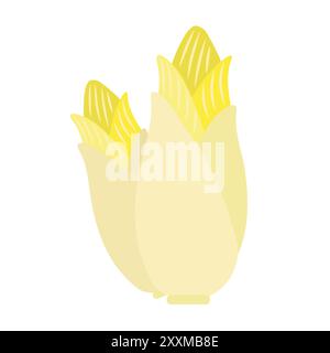 Illustration vectorielle d'endive belge avec des feuilles jaunâtres, détaillée et isolée. Illustration de Vecteur