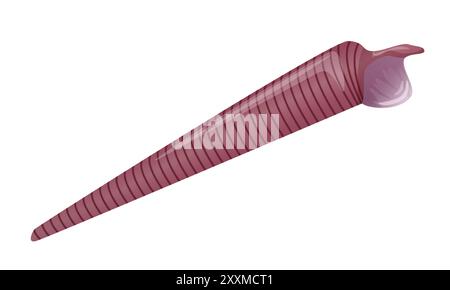Illustration vectorielle détaillée d'un long coquillage en spirale dans des tons marron. Illustration de Vecteur