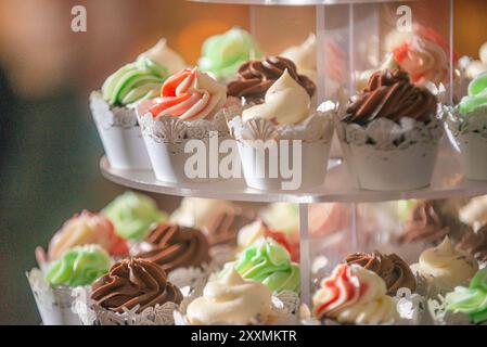 Tasty Multi Flavor et de nombreux cupcakes dans des tasses en dentelle blanche fantaisie. chocolat, vanille rasberry Banque D'Images