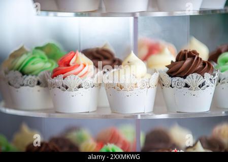 Savoureux Multi saveur et de nombreux cupcakes dans des tasses en dentelle blanche fantaisie. chocolat, vanille rasberry Banque D'Images