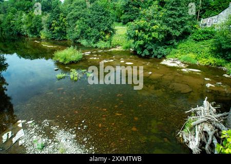 Talybont-on-Usk Banque D'Images