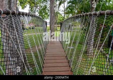 Pont suspendu en bois entouré de verdure luxuriante dans un cadre forestier serein. Banque D'Images