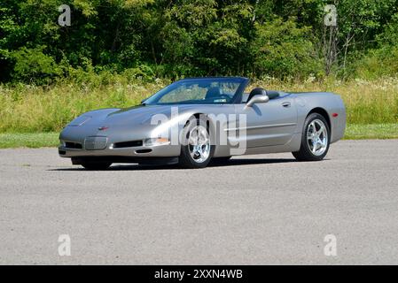 Un cabriolet Corvette 2000 étain clair avec sa capote abaissée est stationné sur un fond de bois. Banque D'Images