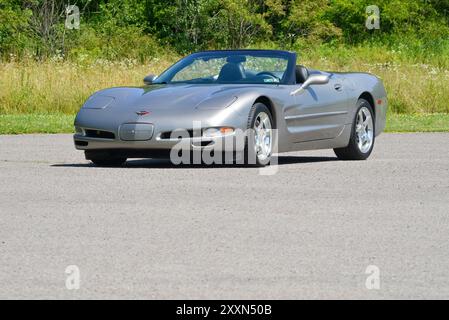 Un cabriolet Corvette 2000 étain clair avec sa capote abaissée est stationné sur un fond de bois. Banque D'Images