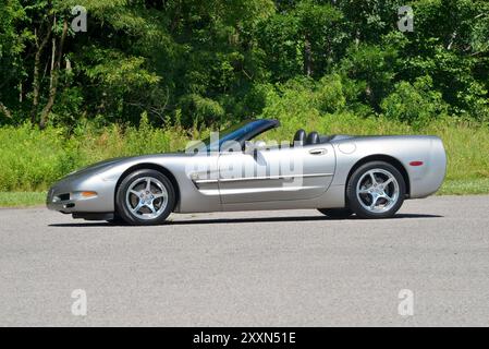 Un cabriolet Corvette 2000 étain clair avec sa capote abaissée est stationné sur un fond de bois. Banque D'Images