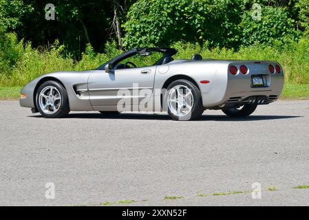 Un cabriolet Corvette 2000 étain clair avec sa capote abaissée est stationné sur un fond de bois. Banque D'Images