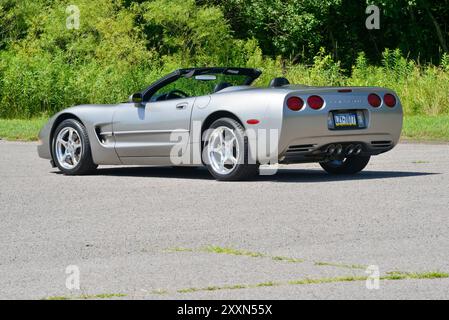 Un cabriolet Corvette 2000 étain clair avec sa capote abaissée est stationné sur un fond de bois. Banque D'Images