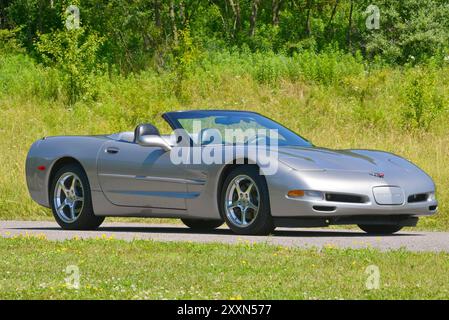 Un cabriolet Corvette 2000 étain clair avec sa capote abaissée est stationné sur un fond de bois. Banque D'Images