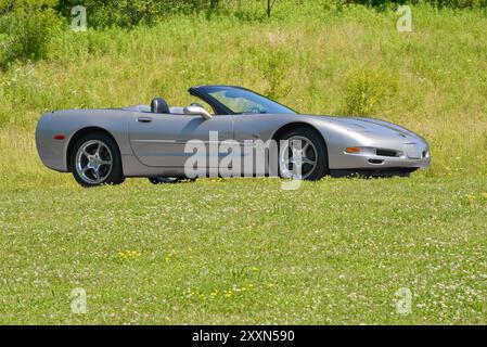 Un cabriolet Corvette 2000 étain clair avec sa capote abaissée est stationné sur un fond de broussailles. Banque D'Images