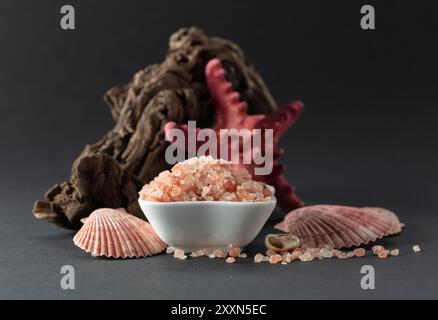 Sel rose de l'himalaya avec accrocs et coquillages sur fond noir. Copier l'espace. Banque D'Images