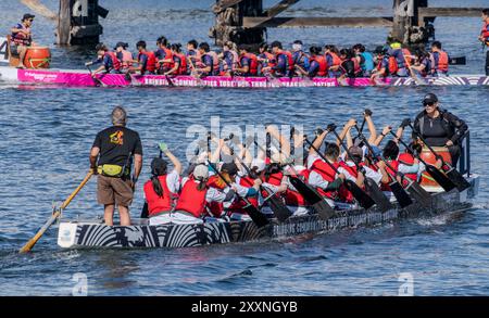 Les membres de l'équipe des bateaux-dragons pagayent dans une course dans la gorge Waterway à Victoria, Colombie-Britannique, Canada, le 25 août 2024. Banque D'Images