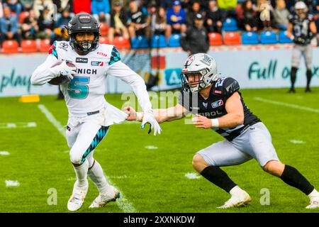 Munich, Allemagne. 25 août 2024. Ligue européenne de Football, ELF/ Game : Raiders Tirol aux Ravens de Munich sur 25. Août 2024, dans le PARC uhlsport, Munich, Unterhaching, Allemagne, JPN Cole # 5 Munich Ravens crédit : Frank Baumert/Alamy Live News Banque D'Images