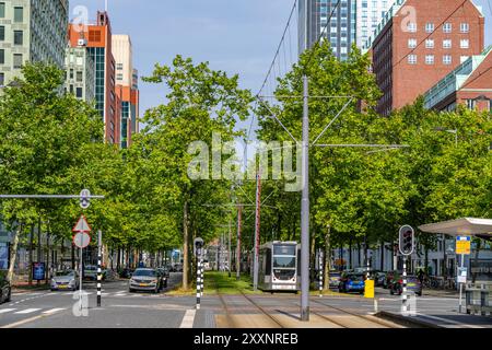 Écologisation urbaine, rue du centre-ville Laan op Zuid, dans le quartier de Rotterdam de Feijenoord, 4 voies, 2 voies de tramway, pistes cyclables des deux côtés, pied Banque D'Images