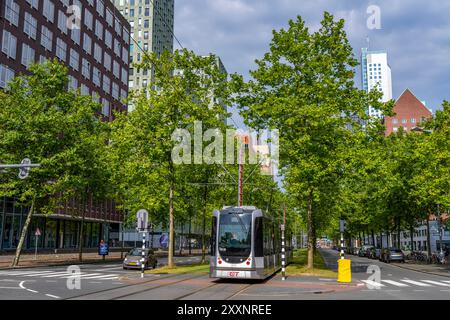 Écologisation urbaine, rue du centre-ville Laan op Zuid, dans le quartier de Rotterdam de Feijenoord, 4 voies, 2 voies de tramway, pistes cyclables des deux côtés, pied Banque D'Images
