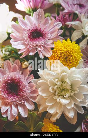 Bouquet d'été multicolore de chrysanthèmes et gerberas. Banque D'Images