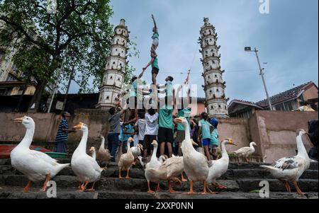 Mumbai, Inde. 25 août 2024. MUMBAI, INDE - AOÛT 25 : Govinda révélateur de Pimpleshwar Mitra Mandal forme une pyramide humaine tout en pratiquant pour le prochain festival hindou de 'dahi Handi' à Banganga, Walkeshwar, le 25 août 2024 à Mumbai, Inde. (Photo par Anshuman Poyrekar/Hindustan Times/Sipa USA ) crédit : Sipa USA/Alamy Live News Banque D'Images