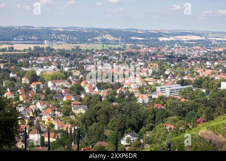 Blick über die Weinberge auf die Stadt Radebeul. *** Vue sur les vignes de la ville de Radebeul Banque D'Images