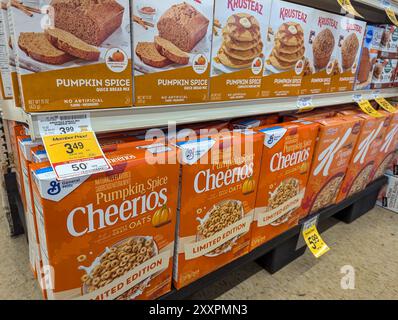 Los Angeles, CA - 16 août 2024 : assortiment de produits aromatisés à la citrouille et aux épices Banque D'Images