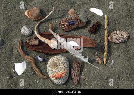 Nature morte sur la plage Banque D'Images