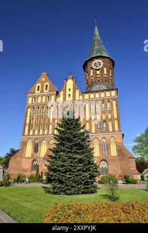 Tour de la cathédrale de Koenigsberg. Gothique XIVe siècle. Symbole de la ville de Kaliningrad, Koenigsberg avant 1946, Russie, Europe Banque D'Images