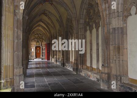 Utrecht, pays-Bas. Mai 2023. Le cloître de l'église Dom à Utrecht Banque D'Images