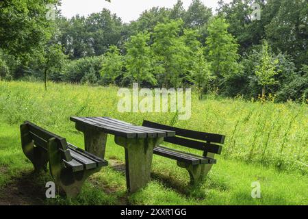 Une table de pique-nique avec deux bancs sur une prairie verte dans une zone boisée, Aalten, gueldre, pays-bas Banque D'Images