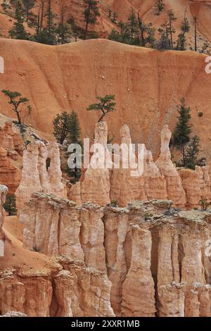 Bryce Canyon Banque D'Images