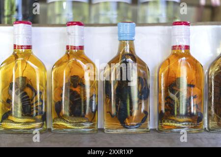 Choum, liqueur de riz, vin de riz avec scorpions marinés et serpents à vendre, Laos, Asie Banque D'Images