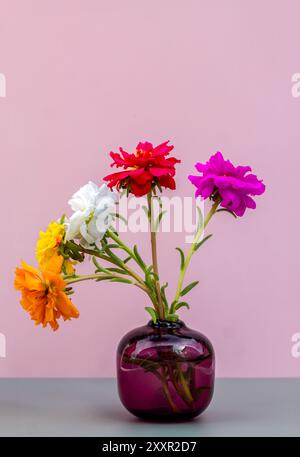 Petites fleurs colorées dans le vase en verre sur le fond rose et gris. Gros plan, mise au point sélective Banque D'Images