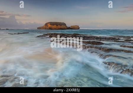 Plage de tortues située à Lombok, Indonésie Banque D'Images