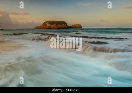 Plage de tortues située à Lombok, Indonésie Banque D'Images