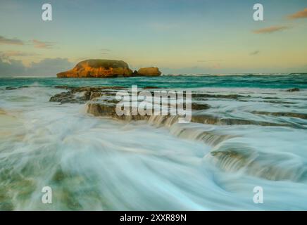 Plage de tortues située à Lombok, Indonésie Banque D'Images